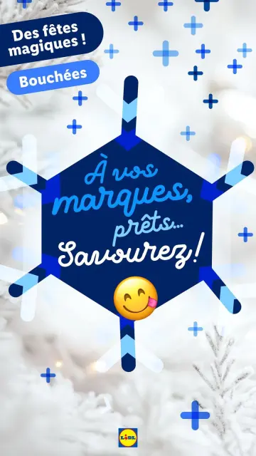 Offres Lidl France de 21 décembre à 3 janvier 2025 Offres de Noël - Page 4