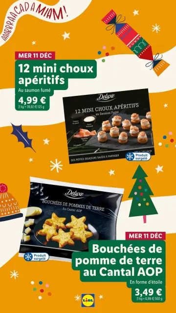 Offres Lidl France de 21 décembre à 3 janvier 2025 Offres de Noël - Page 35