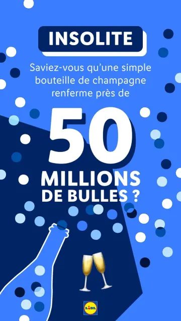 Offres Lidl France de 21 décembre à 3 janvier 2025 Offres de Noël - Page 10