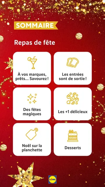 Offres Lidl France de 21 décembre à 3 janvier 2025 Offres de Noël - Page 2