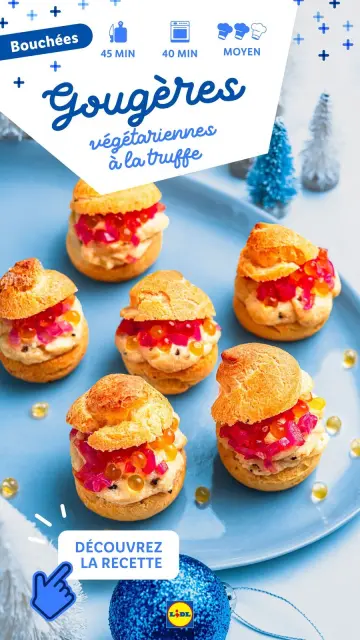 Offres Lidl France de 21 décembre à 3 janvier 2025 Offres de Noël - Page 5