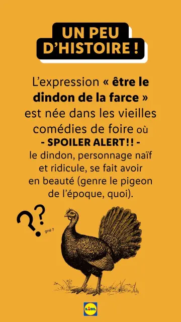 Offres Lidl France de 21 décembre à 3 janvier 2025 Offres de Noël - Page 25