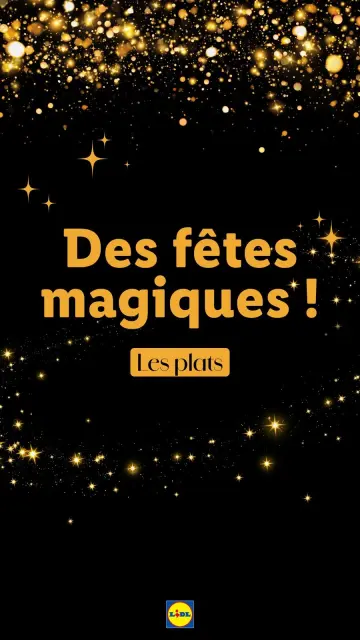 Offres Lidl France de 21 décembre à 3 janvier 2025 Offres de Noël - Page 23