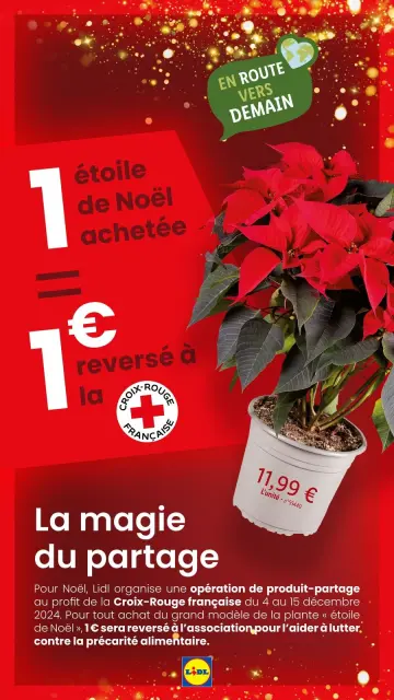 Offres Lidl France de 21 décembre à 3 janvier 2025 Offres de Noël - Page 69