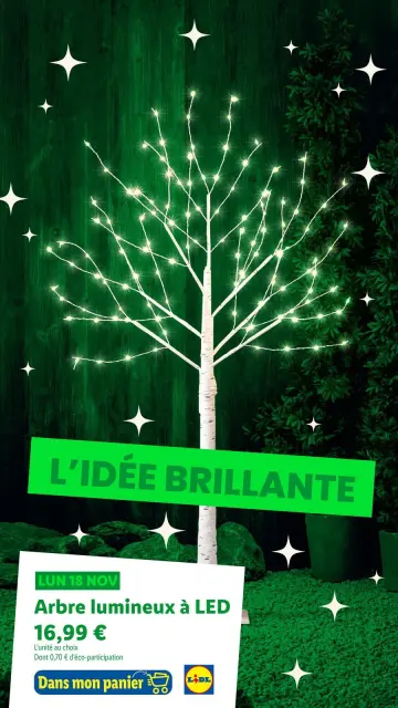 Offres Lidl France de 21 décembre à 3 janvier 2025 Offres de Noël - Page 67