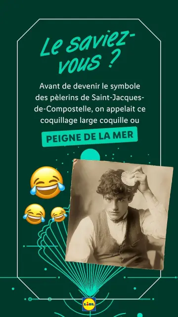 Offres Lidl France de 21 décembre à 3 janvier 2025 Offres de Noël - Page 20