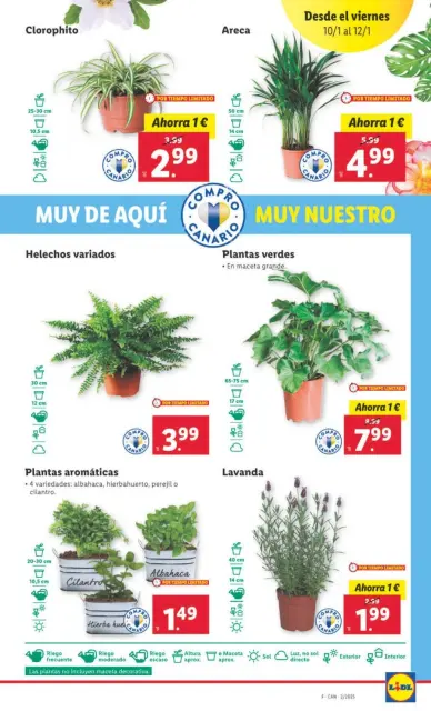 Ofertas de Lidl España de 7 a 12 enero 2025 Ofertas XXL - Página 27