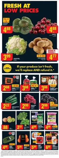No Frills Canada Offers from 9 to 15 January 2025 Discounts and promotions - Page 6