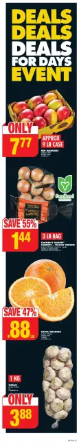 No Frills Canada Offers from 9 to 15 January 2025 DEALS FOR DAYS EVENT - Page 1