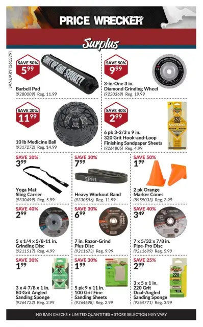Princess Auto Canada Offers from 1 to 31 January 2025 Price Wrecker - Page 14