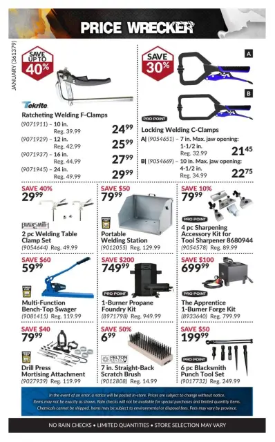 Princess Auto Canada Offers from 1 to 31 January 2025 Price Wrecker - Page 24