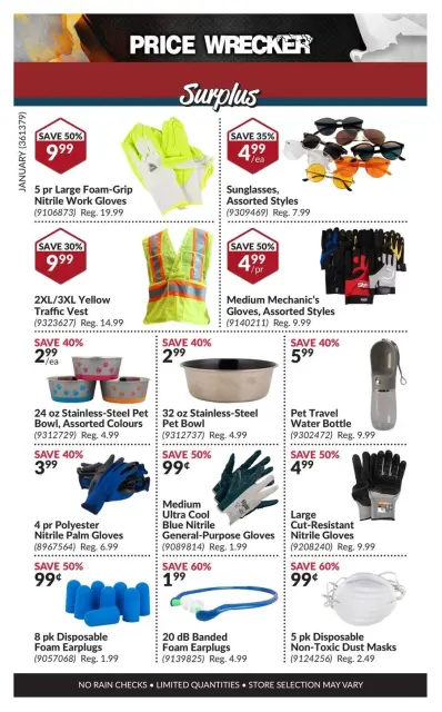 Princess Auto Canada Offers from 1 to 31 January 2025 Price Wrecker - Page 13