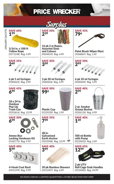 Princess Auto Canada Offers from 1 to 31 January 2025 Price Wrecker - Page 11