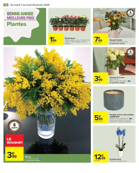 Carrefour France Offers from 7 to 20 January 2025 34% SAVINGS - Page 72