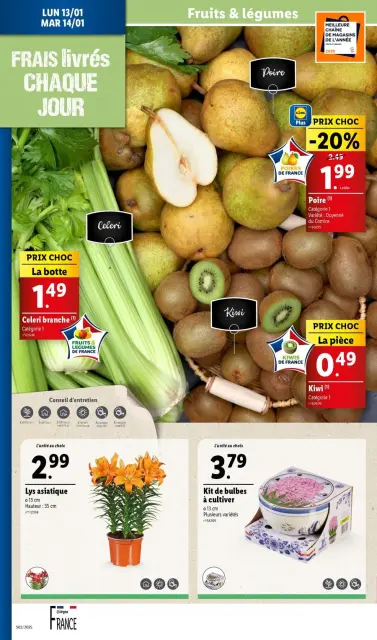 Offres Lidl France de 8 à 14 janvier 2025 Tarifs réduits - Page 32
