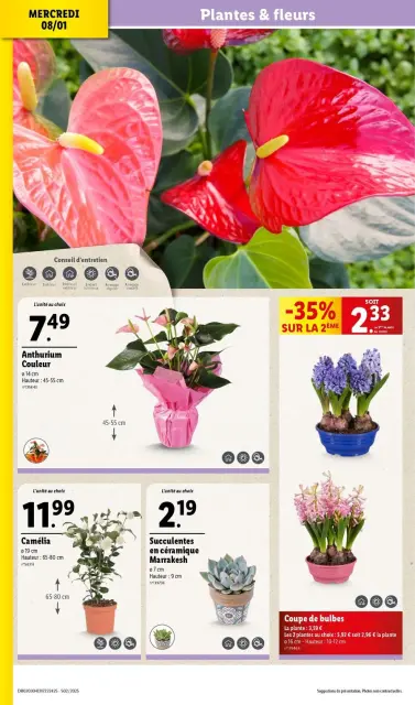 Offres Lidl France de 8 à 14 janvier 2025 Tarifs réduits - Page 30