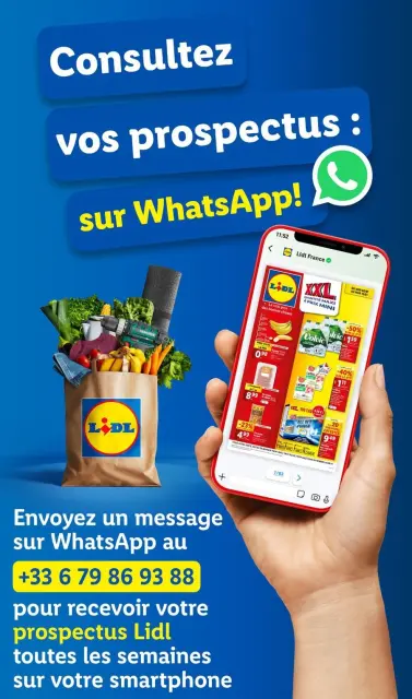 Offres Lidl France de 8 à 14 janvier 2025 Tarifs réduits - Page 88