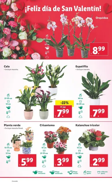Ofertas de Lidl España de 3 a 9 febrero 2025 FOOD Ofertas - Página 28