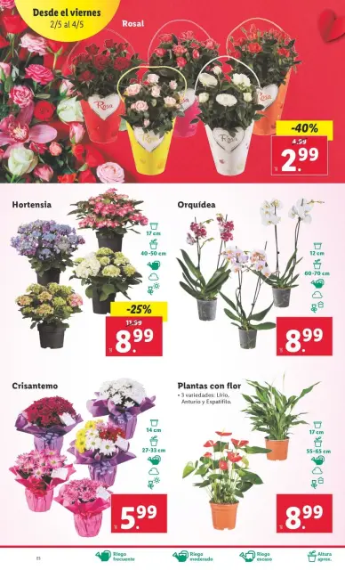Ofertas de Lidl España de 28 abril a 4 mayo 2025 ofertas semanales - Página 45