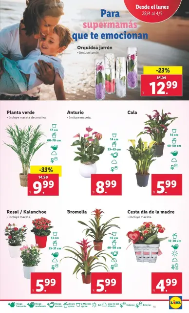 Ofertas de Lidl España de 28 abril a 4 mayo 2025 Ofertas de bazar - Página 11