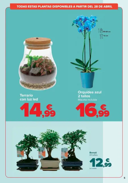 Ofertas de Carrefour España de 25 abril a 4 mayo 2025 DIA DE LA MADRE Ofertas - Página 5