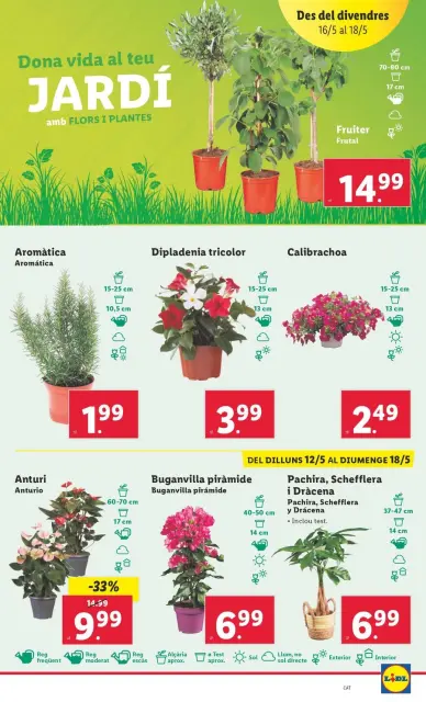 Ofertas de Lidl España de 12 a 18 mayo 2025 ofertas semanales - Página 44