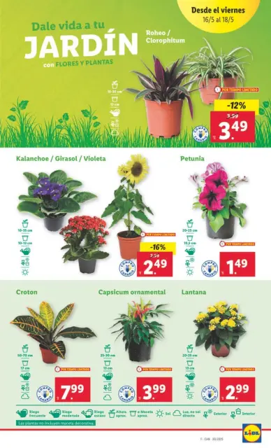 Ofertas de Lidl España de 12 a 18 mayo 2025 Ofertas de bazar - Página 13