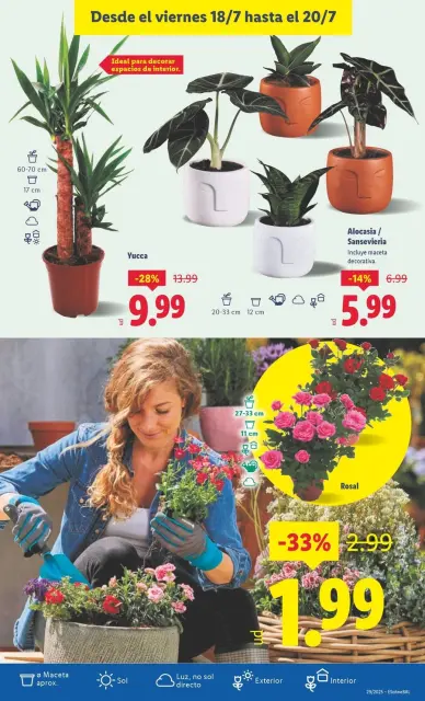 Ofertas de Lidl España de 14 a 20 julio 2025 Ofertas de bazar - Página 25