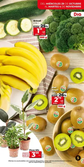 عروض ديا إسبانيا من 29 أكتوبر حتى 4 نوفمبر 2025 كتيب المبيعات: أكثر من ١٠٠ منتج - صفحة 5