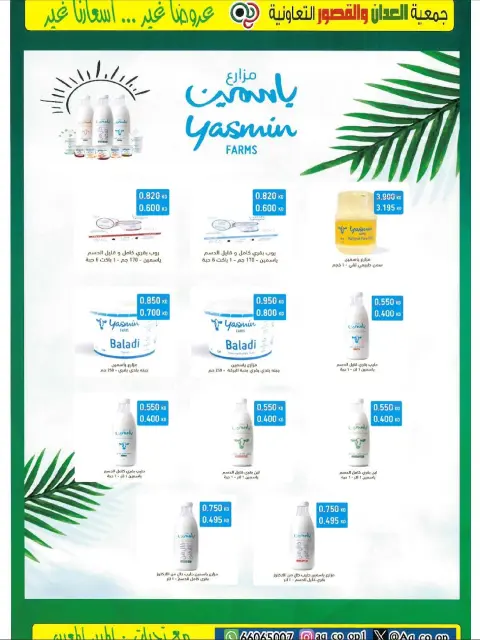 Al adan & Al Qasour co-op Kuwait Offers from 20 to 30 November 2025 Big November Festival - Page 33