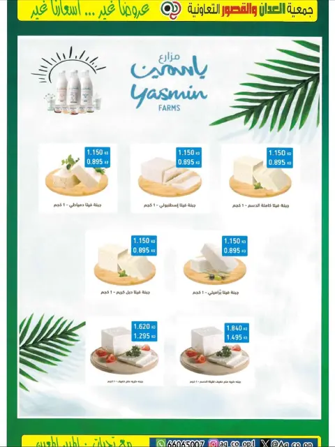 Al adan & Al Qasour co-op Kuwait Offers from 20 to 30 November 2025 Big November Festival - Page 34