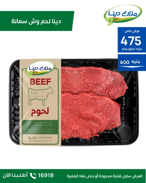 Dina Farms Egypt Offers from 23 November to 6 December 2025 November Deals - Page 11