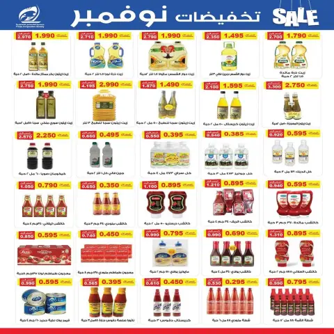 Fintas co-op Kuwait Offers from 25 to 30 November 2025 November Discounts - Page 17