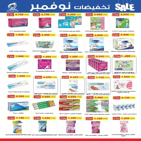Fintas co-op Kuwait Offers from 25 to 30 November 2025 November Discounts - Page 13
