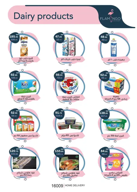 Flamingo Hypermarket Egypt Offers from 25 November to 9 December 2025 Black Friday Deals - Page 13