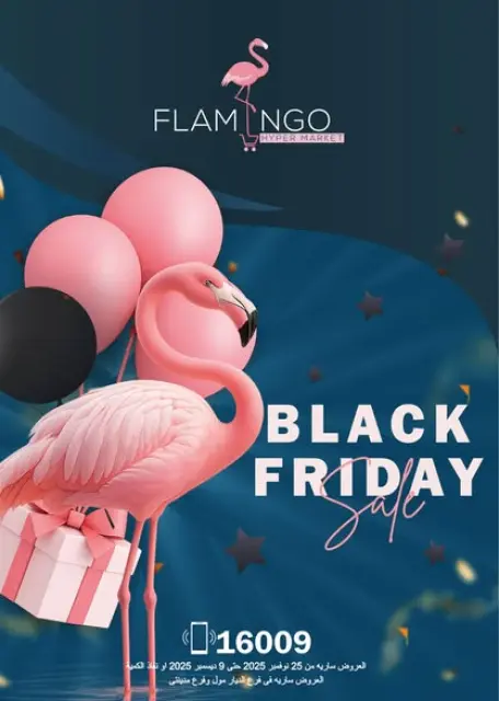 Flamingo Hypermarket Egypt Offers from 25 November to 9 December 2025 Black Friday Deals - Page 1
