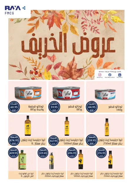 Oscar Grand Stores Egypt Offers from 30 November to 9 December 2025 Christmas Offers - Page 31