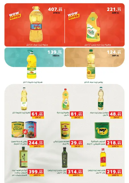 Panda Egypt Offers from 3 to 16 December 2025 Special Offers - Page 17