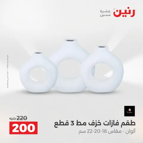 Raneen Egypt Offers from 4 to 6 December 2025 Decorative pieces offers - Page 29