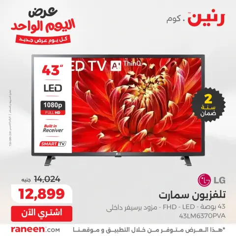 عروض رنين مصر الأربعاء 3 ديسمبر 2025 عرض اليوم الواحد - صفحة 2
