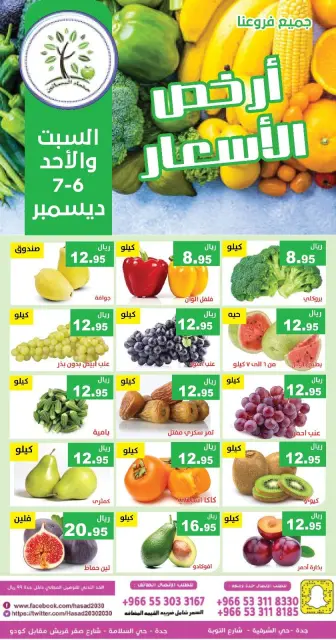 Hasad Albasatin Saudi Arabia Offers from 6 to 7 December 2025 Low Price - Page 5