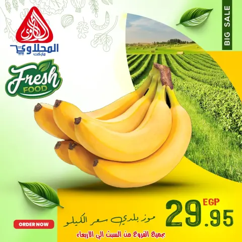 Offres Marché El Mahlawy Egypte de 7 à 11 décembre 2025 Offres de fruits et légumes - Page 6