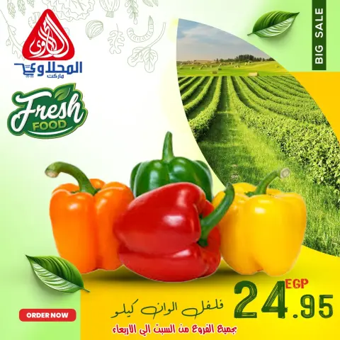 Offres Marché El Mahlawy Egypte de 7 à 11 décembre 2025 Offres de fruits et légumes - Page 9