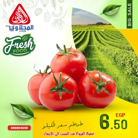 Offres Marché El Mahlawy Egypte de 7 à 11 décembre 2025 Offres de fruits et légumes - Page 8