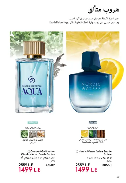 Oriflame Egypt Offers from 1 to 31 December 2025 December Deals - Page 61