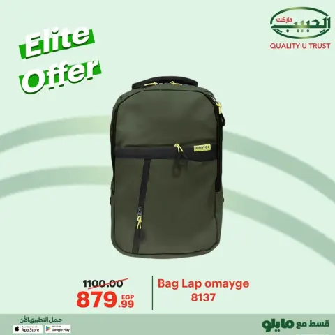 Al Habeeb Market Egypt Offers from 8 to 10 December 2025 Elite Offers - Page 11