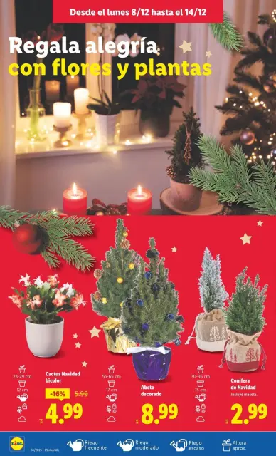 Ofertas de Lidl España de 8 a 14 diciembre 2025 ofertas semanales - Página 52