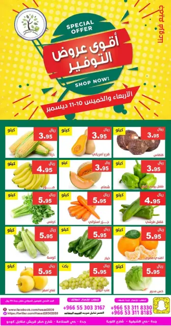 Hasad Albasatin Saudi Arabia Offers from 10 to 11 December 2025 Saving Deals - Page 4