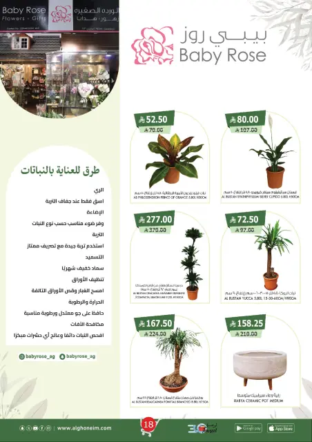 عروض الغنيم ماركت السعودية من 6 حتى 14 ديسمبر 2025 أفضل العروض - صفحة 19