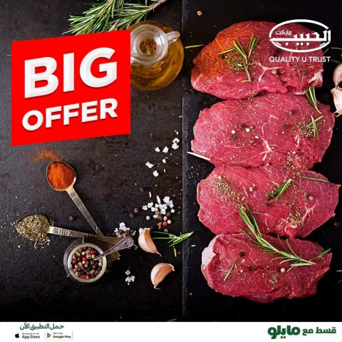 Al Habeeb Market Egypt Offers from 10 to 16 December 2025 Big offers - Page 1